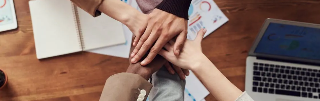 Psychology Careers: Tips for Building a Strong Professional Portfolio